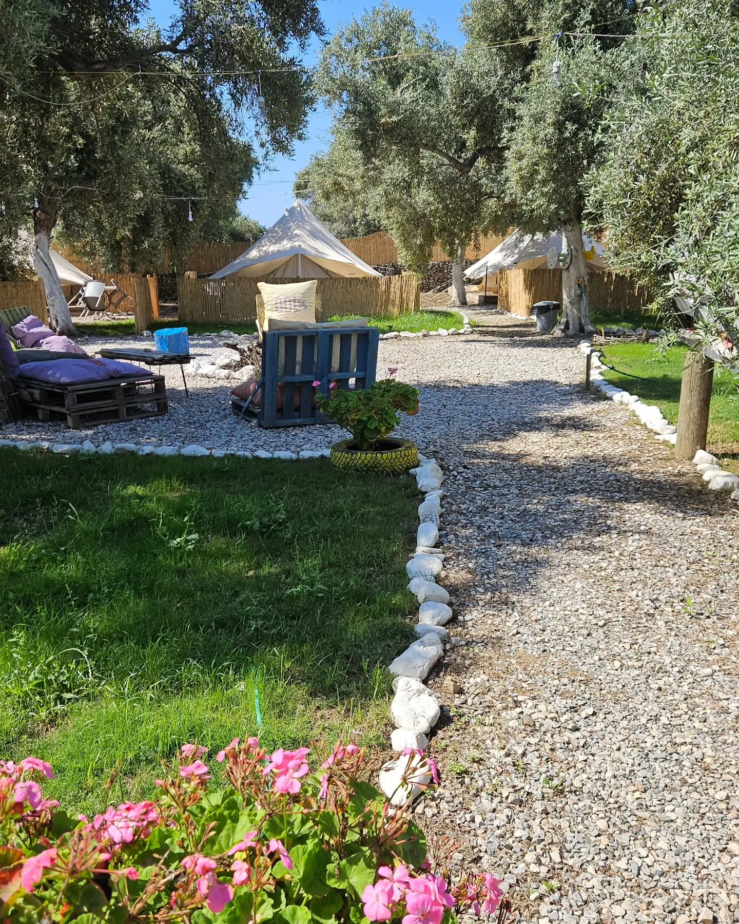 Garden pathway through the camp