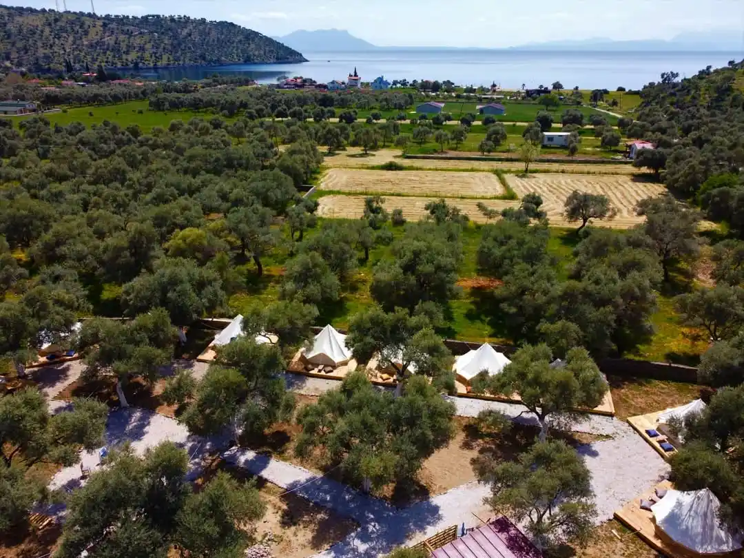 Ruina Glamping — Çökertme'de, asırlık zeytinliklerin arasında bir kaçamak