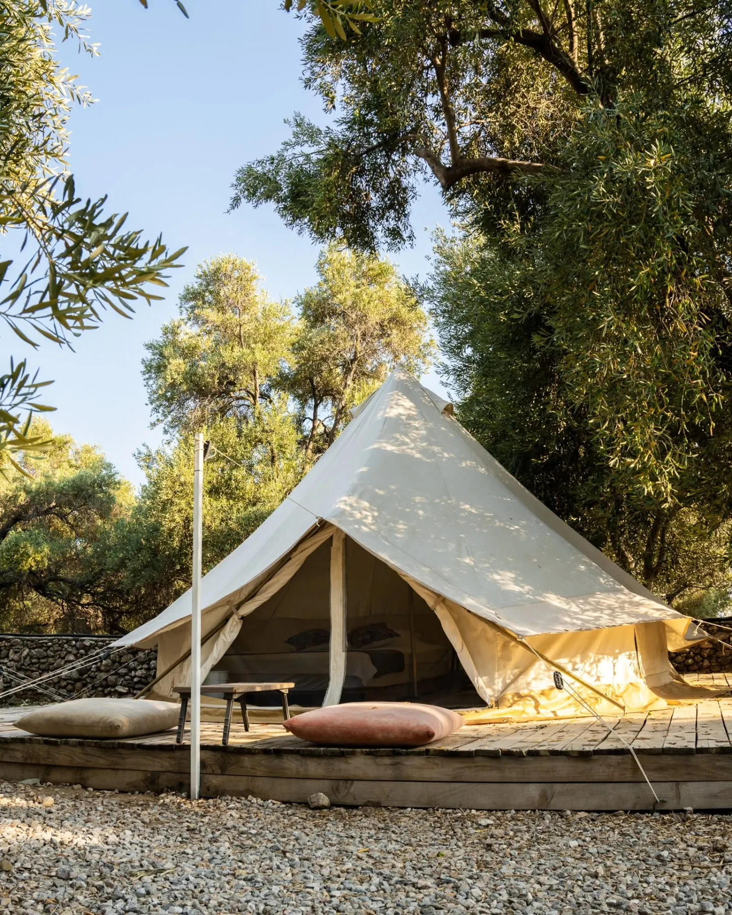 Bell tent in the olive grove
